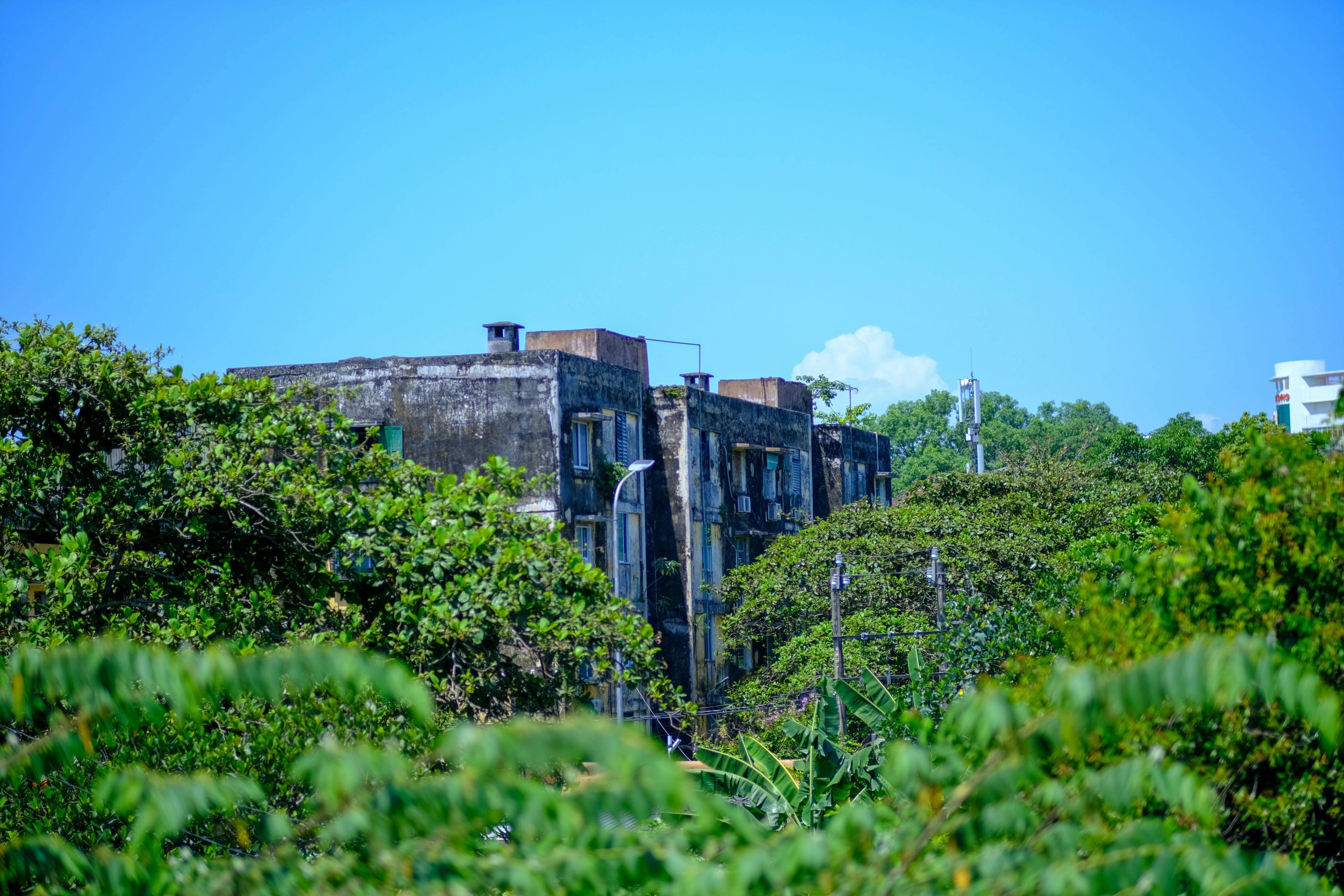 Thám tử lừng danh Conan | Chương 0263 239 – manga, gosho aoyama, case closed, tham tu lung danh conan, conan, detective conan, truyen tranh, trinh tham, pha an, trinh tham, kinh di, truyen conan, doc truyen conan, tham tu lung danh conan chuong 0263, tham tu lung danh conan 0263.