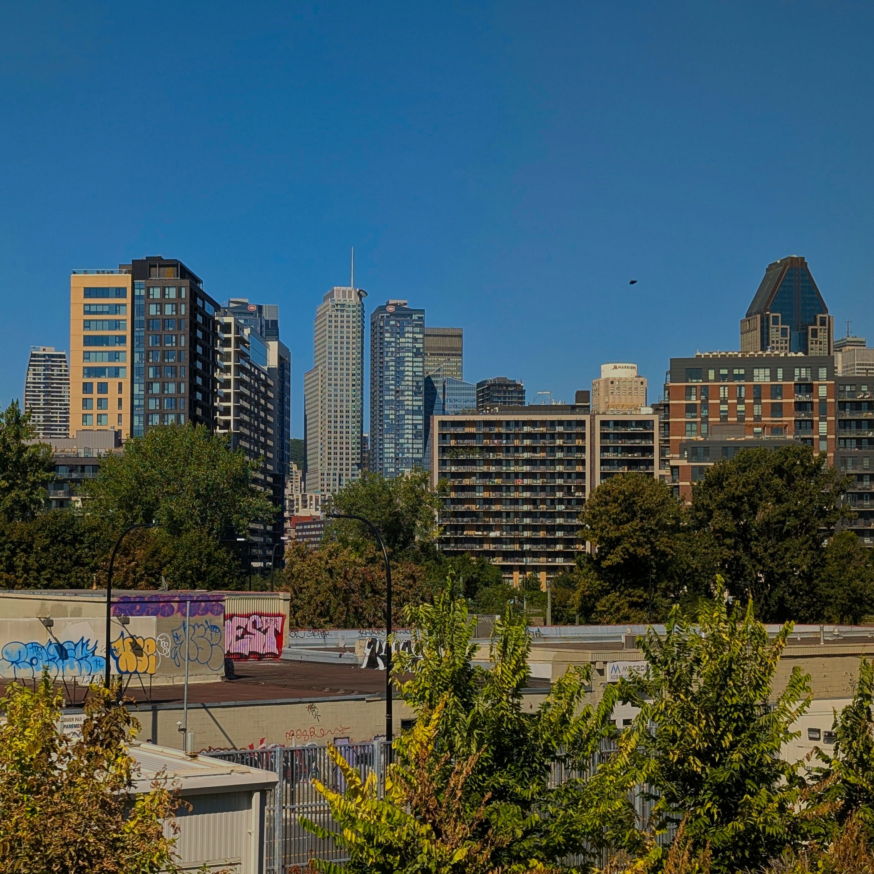 Vibrant Urban Skyline with Tall Skyscrapers · Free Stock Photo