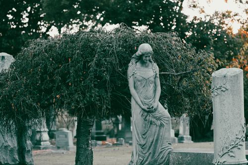 Free A tranquil stone statue amid lush greenery in a cemetery, evoking a sense of serenity. Stock Photo