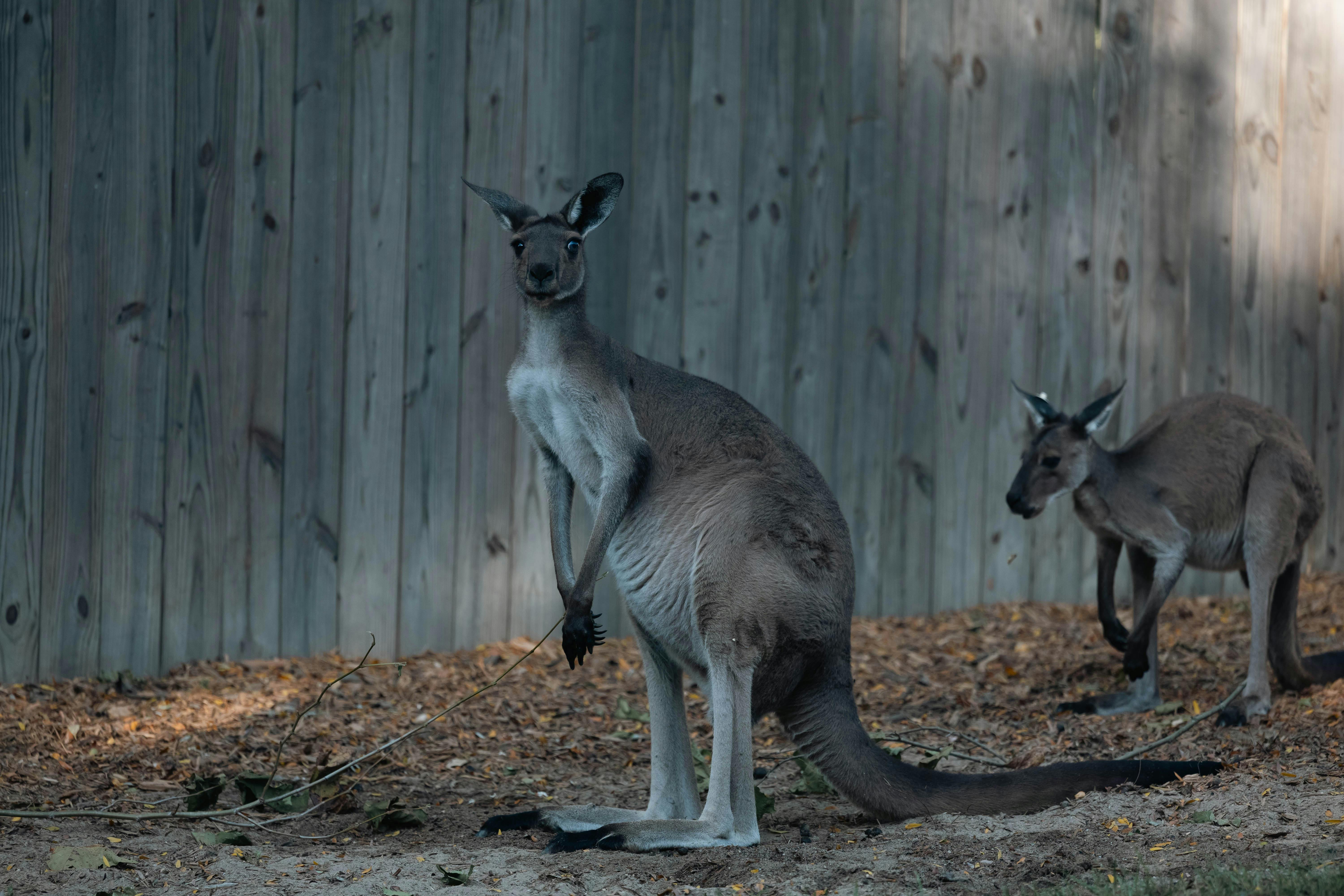 Landmarks in Kangaroo Island