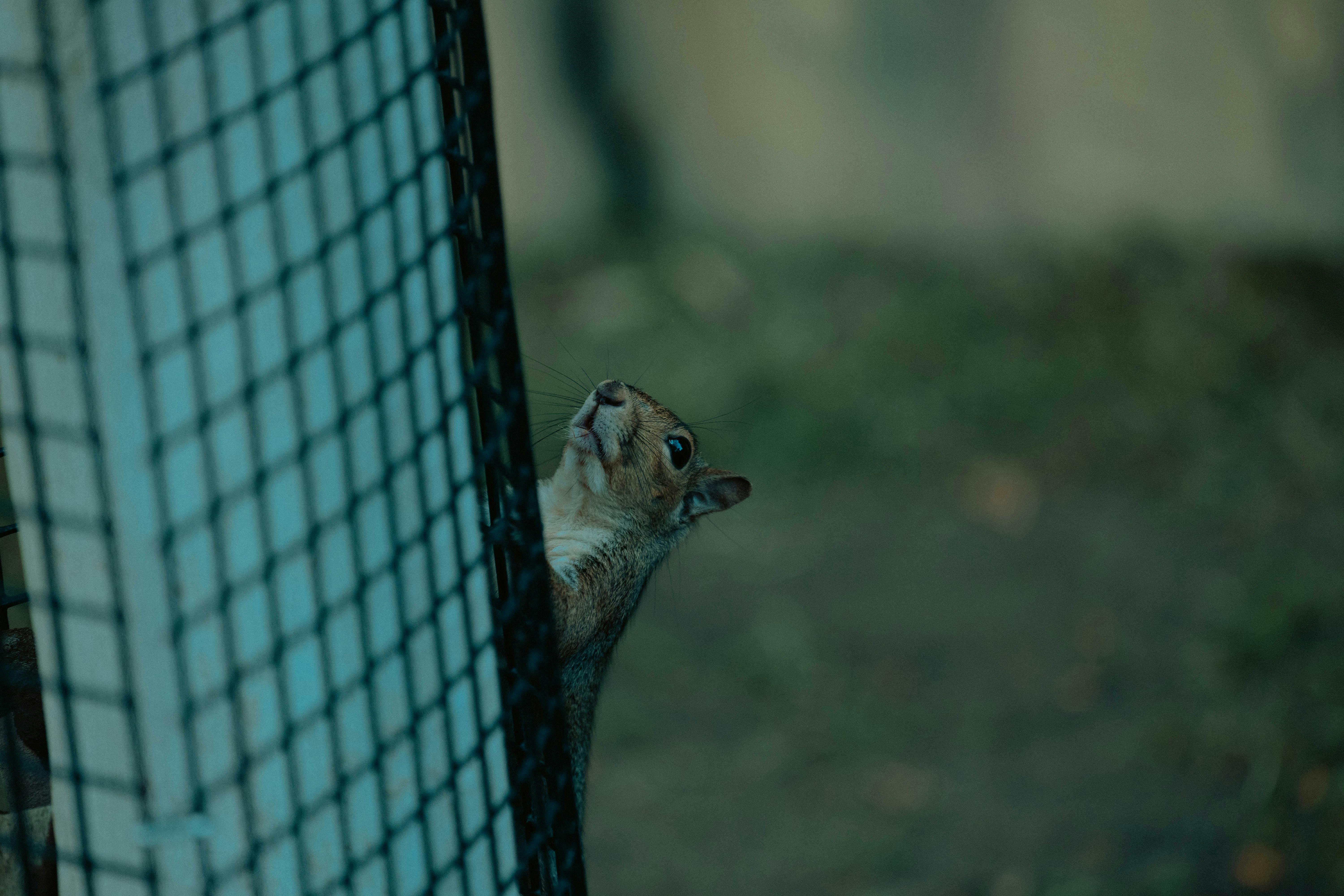 Retro Style Studio Photography Setup Tips