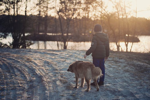 Free stock photo of cold, snow, road, sunset