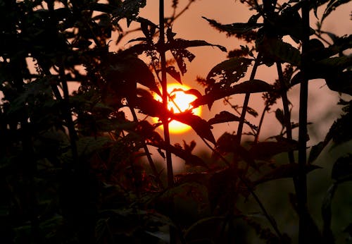 çanak, gün batımı, Güneş içeren Ücretsiz stok fotoğraf