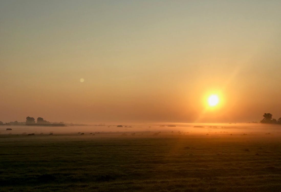 Free stock photo of field, fog, orange