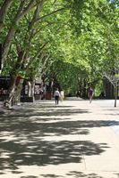 Monash University