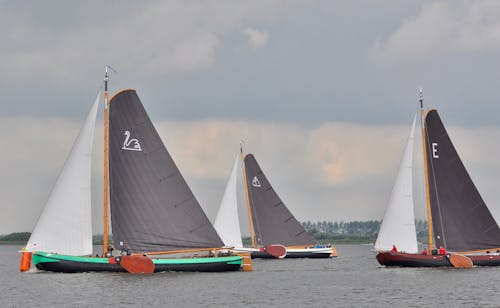 Free Photo Of Sailboats During Daytime  Stock Photo