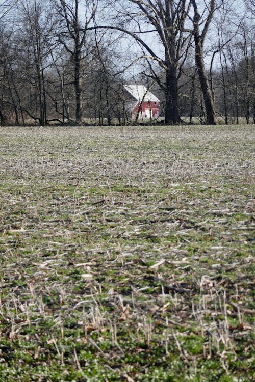 Free stock photo of barn, ohio barn, spring farm fields