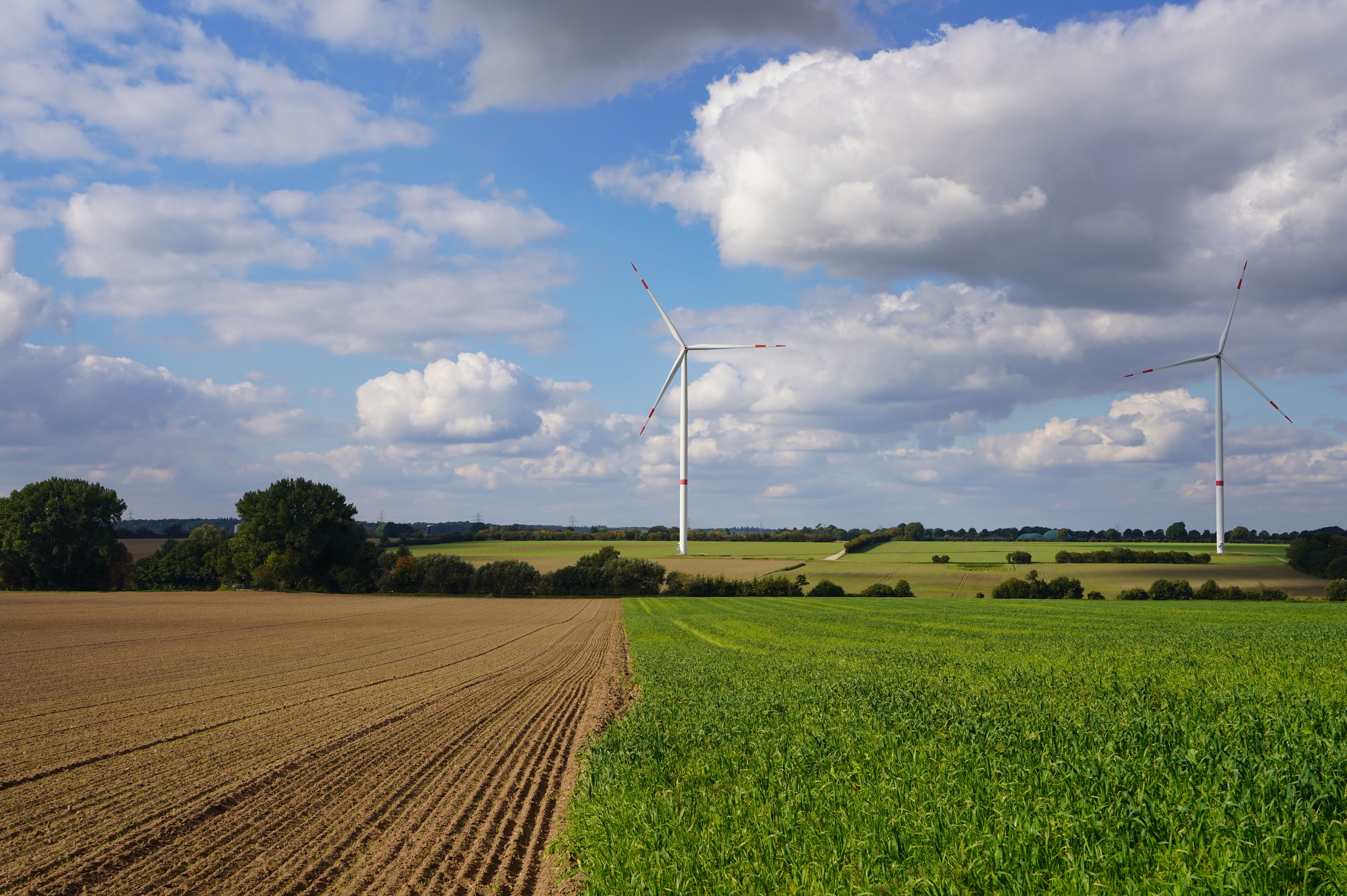 is green energy sustainable a green and sustainable life — Photo by Wolfgang Weiser on Pexels