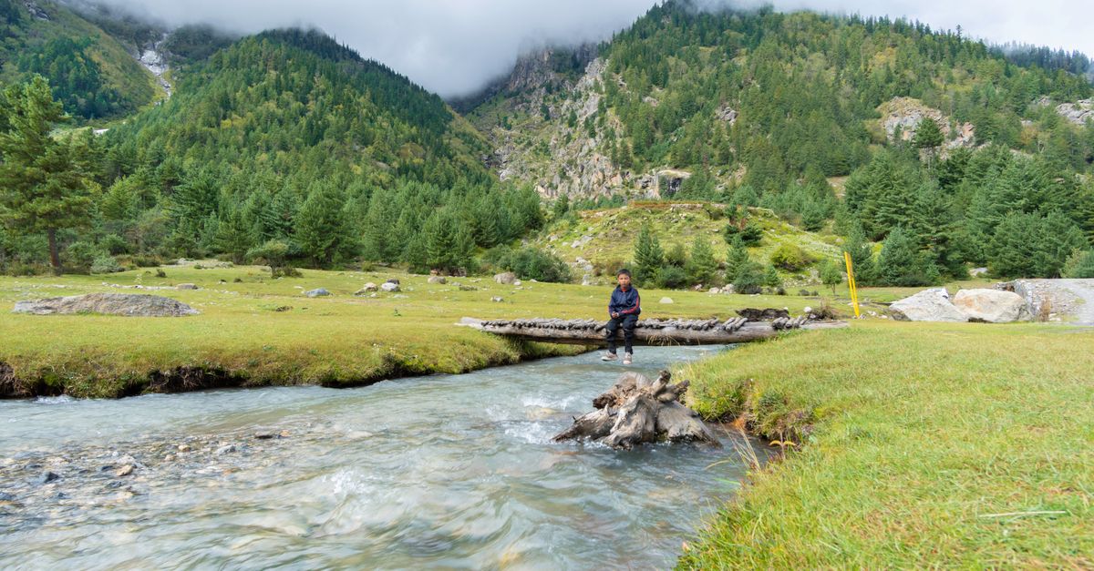 Marango Scenic View of Stream in Marango Rangarik, India · Free Stock Photo