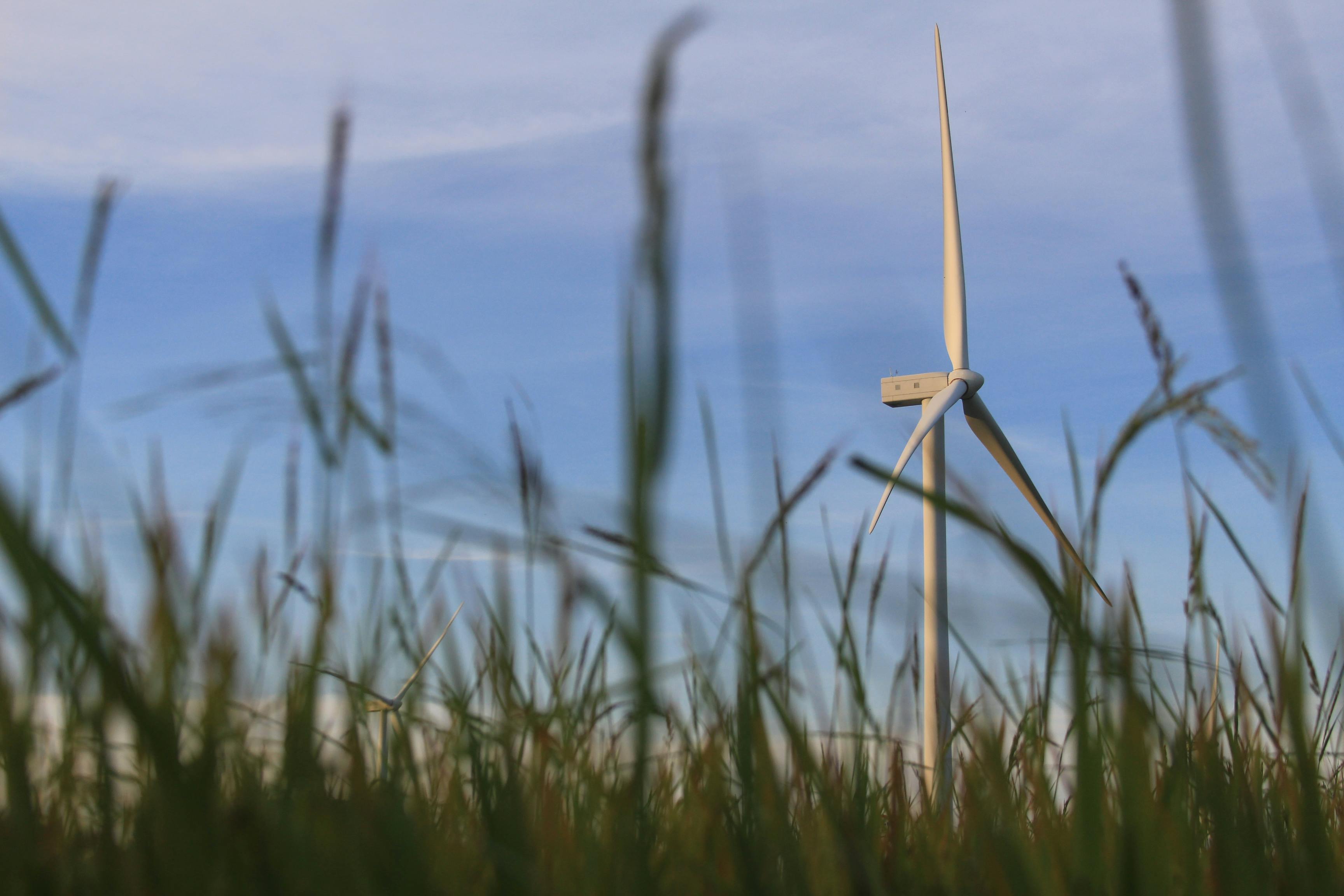 科技權利金引領投資新潮流，美股大型科技股受惠可期