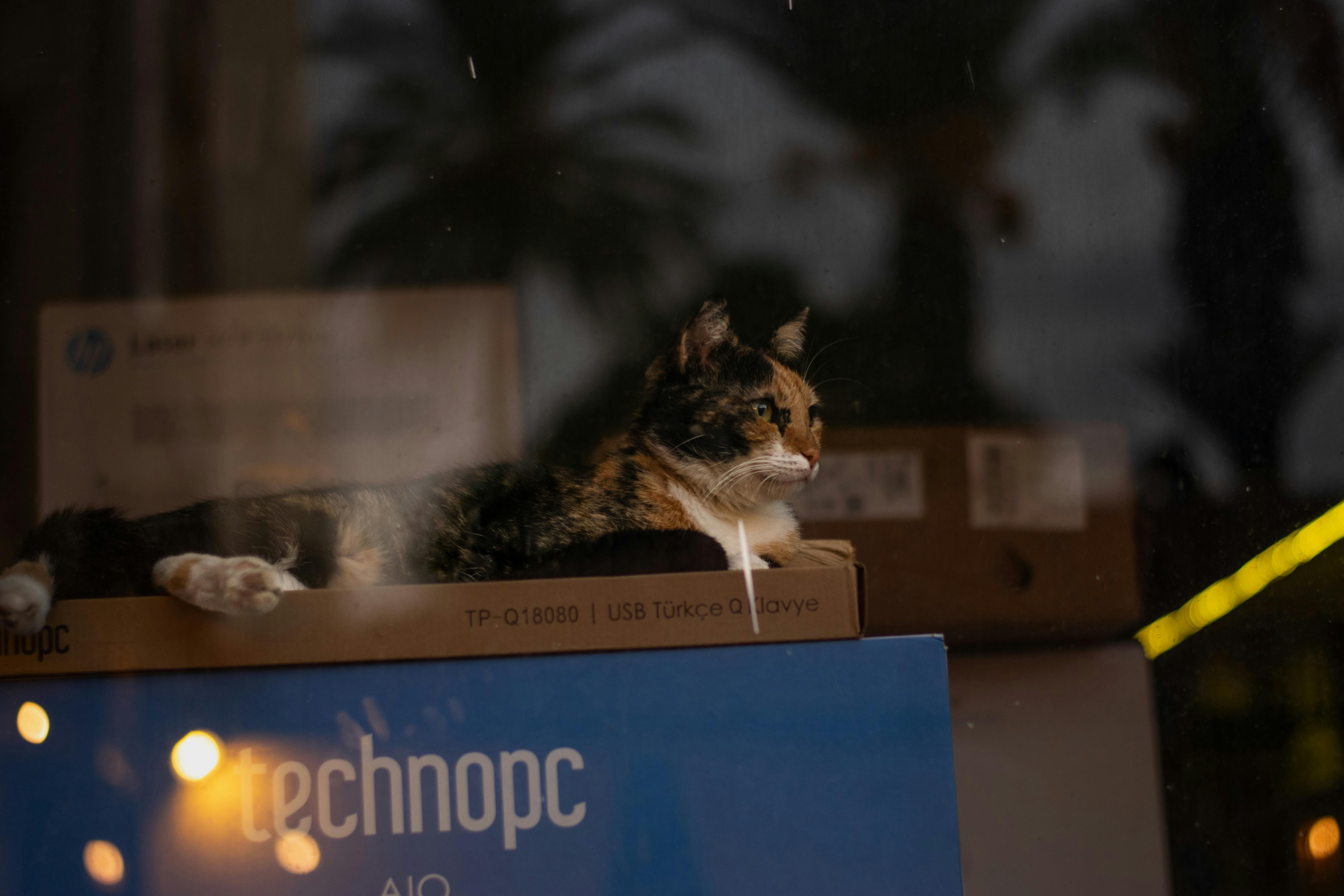 Key Technologies in Front End Development