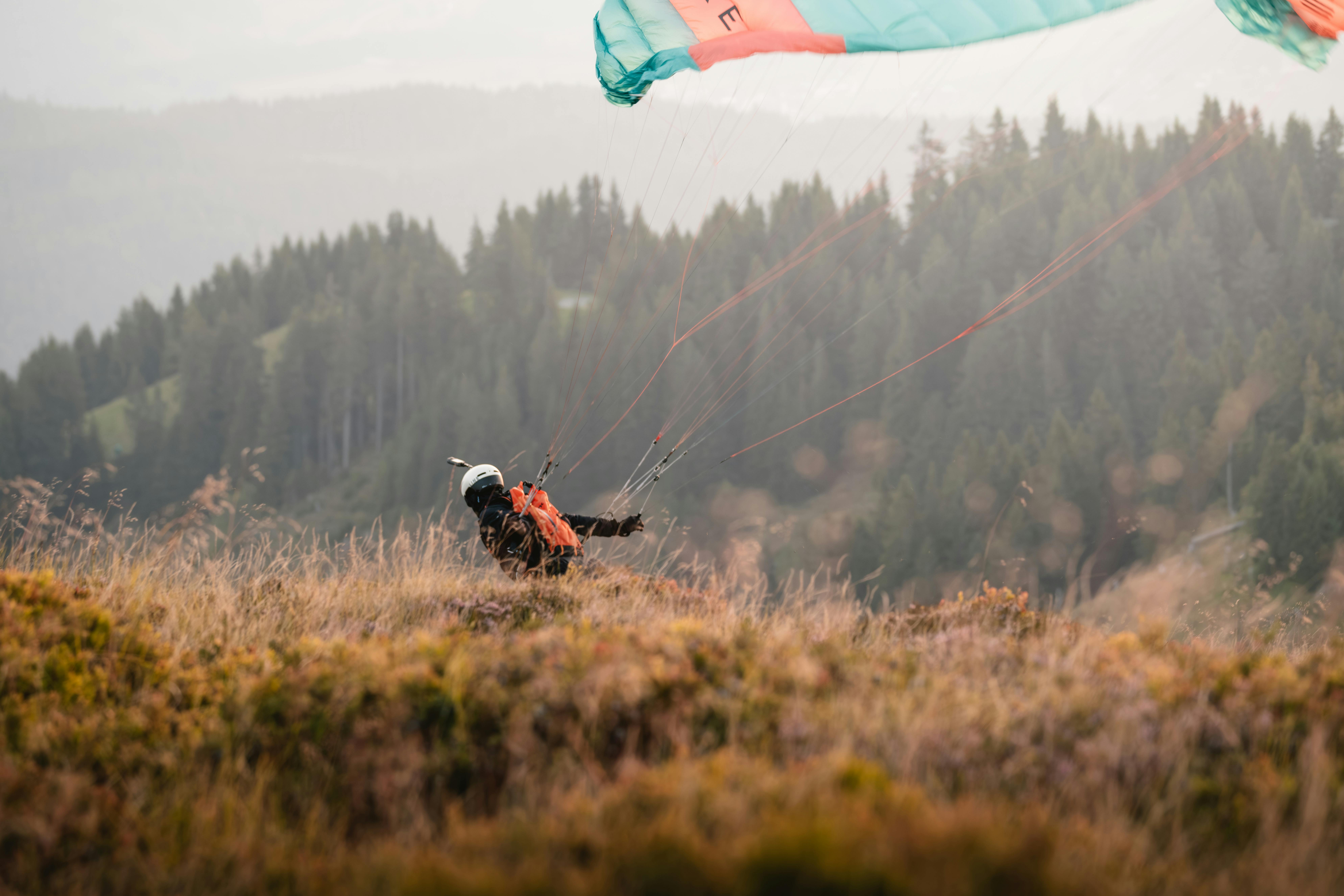 The Digital Ghost: An Archaeologist's Guide to Viewing Deleted Pictures on Your iPhone