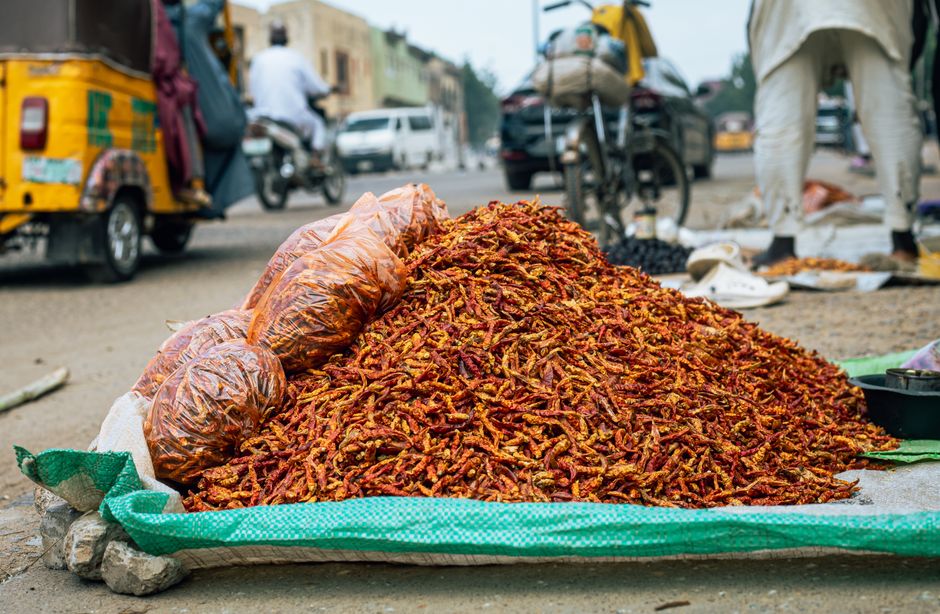 Trouver un travail a Kano en 2026 : guide emploi expatrie