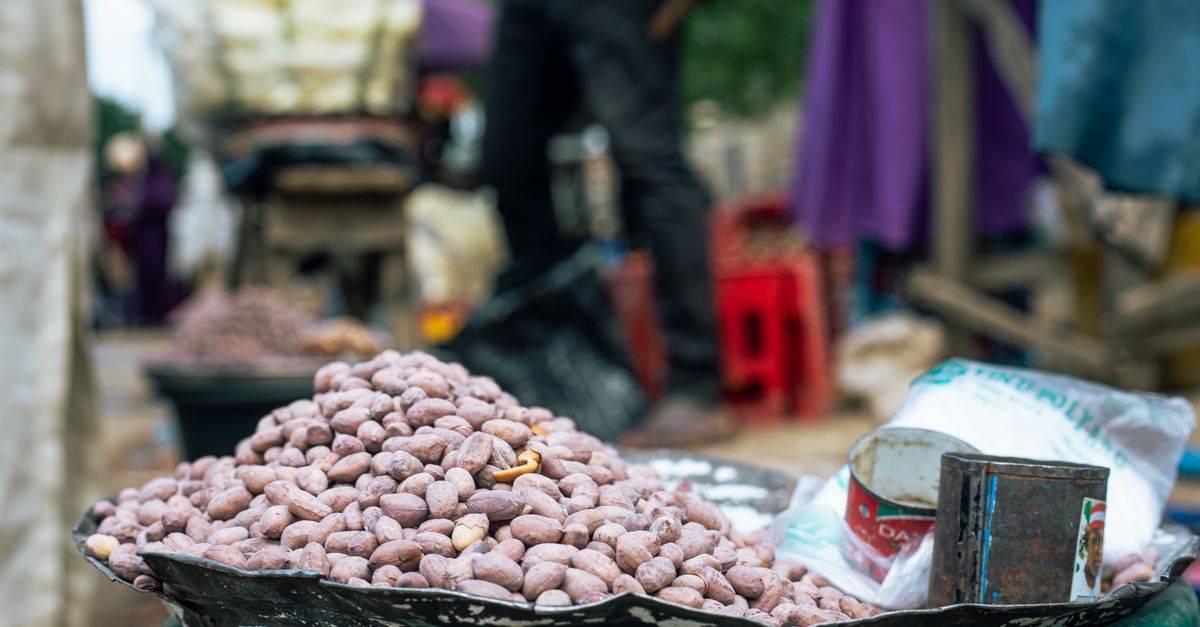 AI Tool Advances Peanut Allergy Prediction with Promising Results