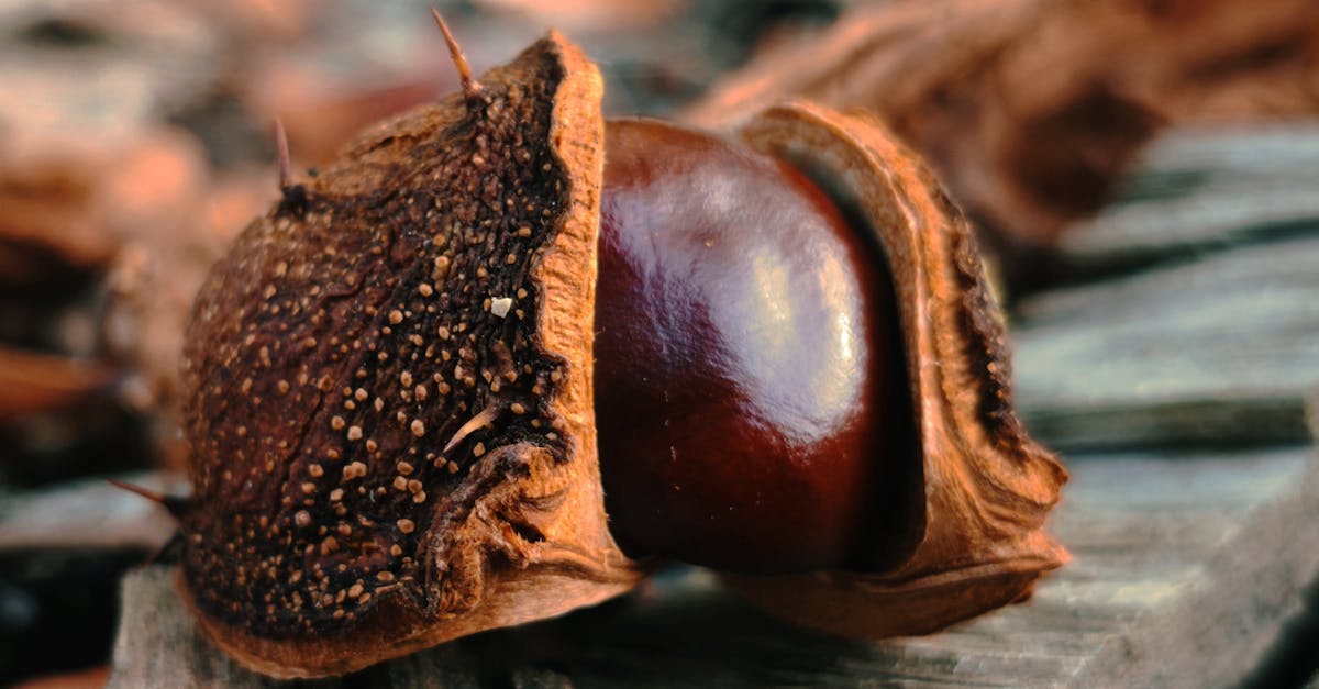 政治:蔡適應自曝成黃國昌狗仔隊首波受害者,詳述遭抹黑經過