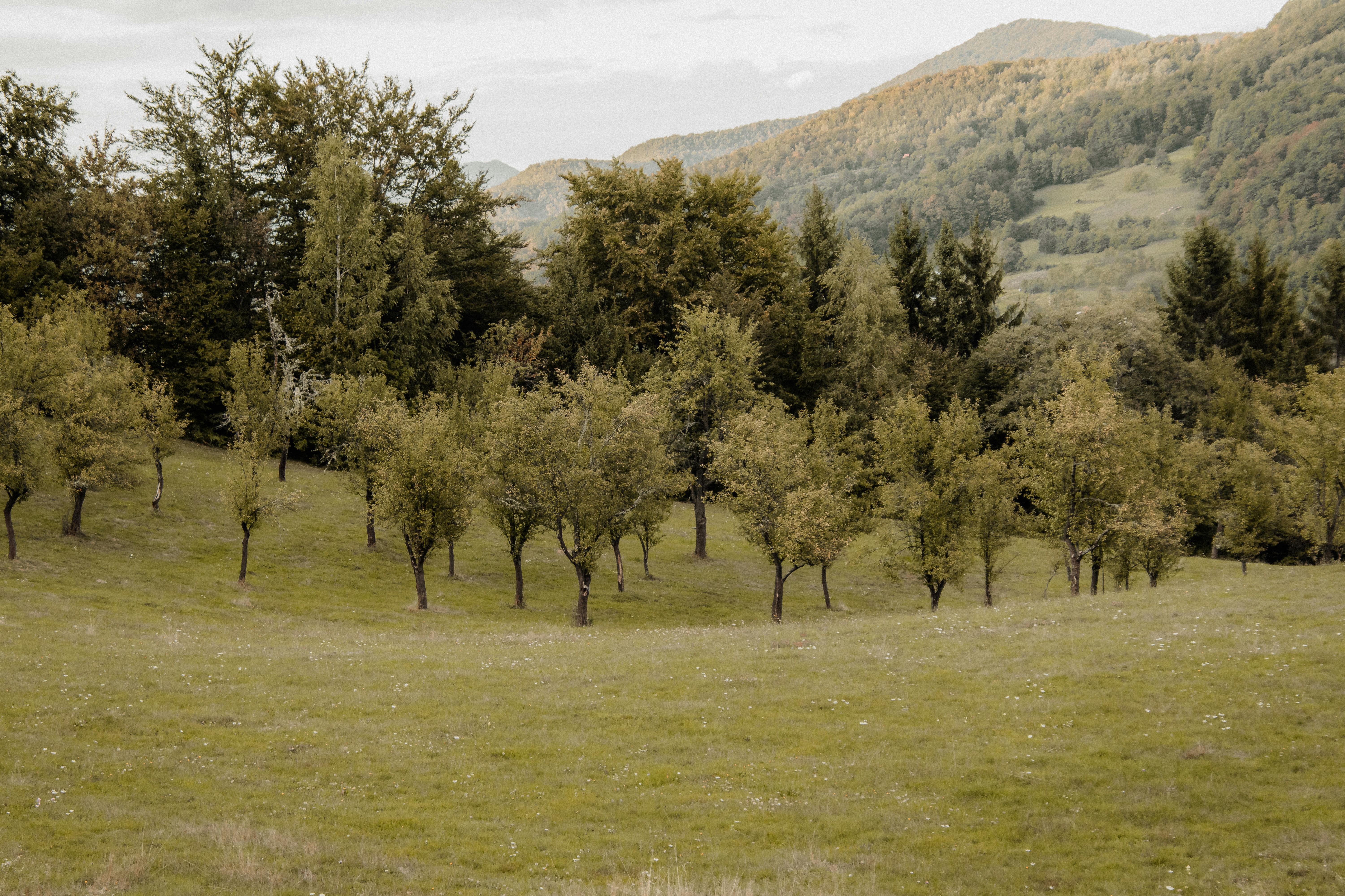 Step into a World of Olfactory Escapades with Wanderlust-Inducing Fragrances