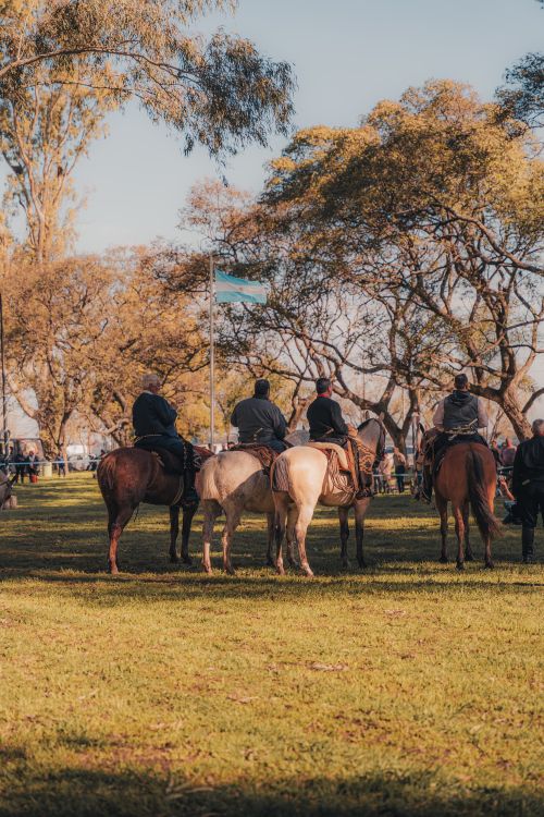 Horse Riders in Outdoor Park Event · Free Stock Photo