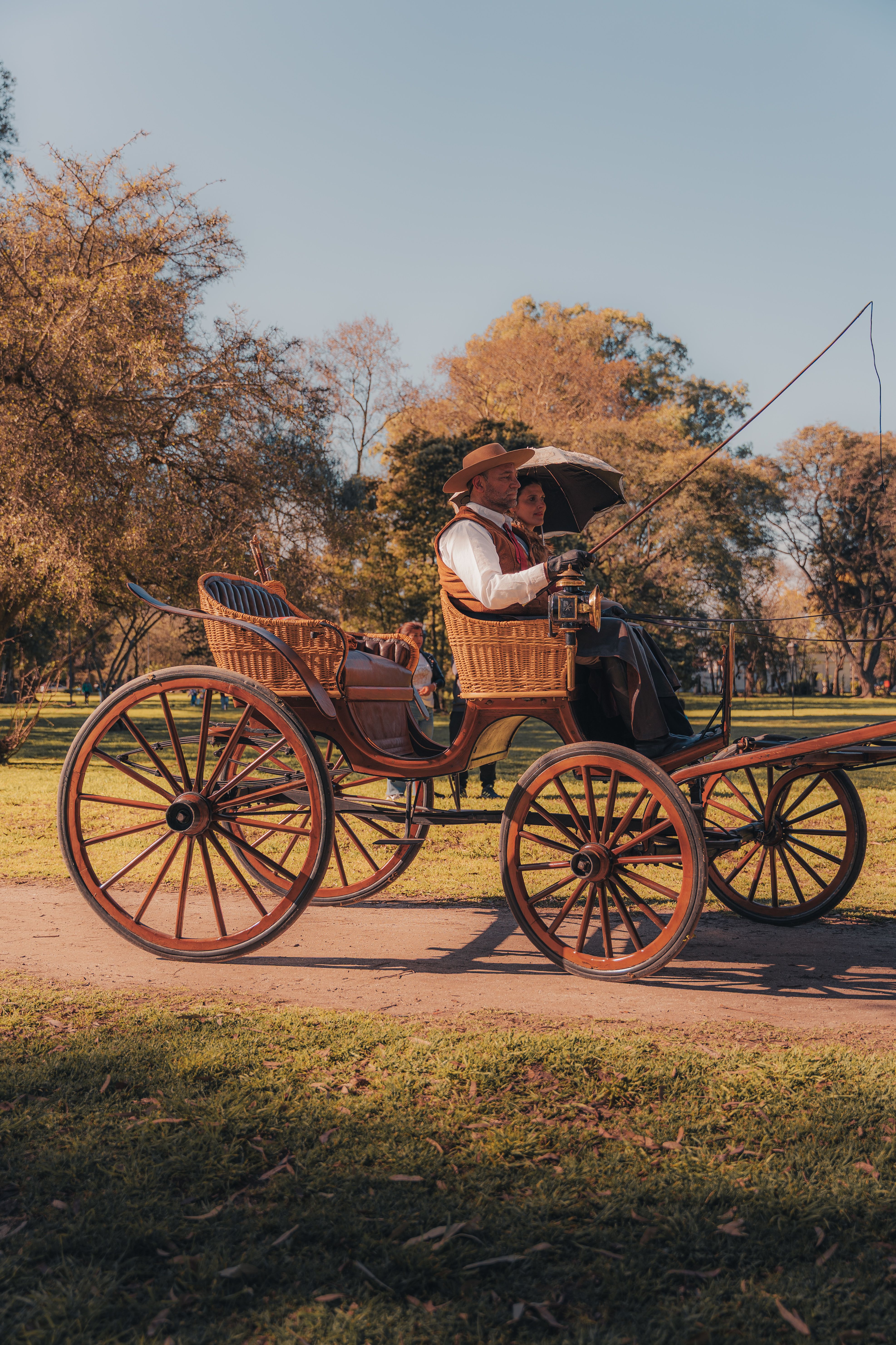 A vintage horse-drawn carriage with riders enjoying a sunny park day.