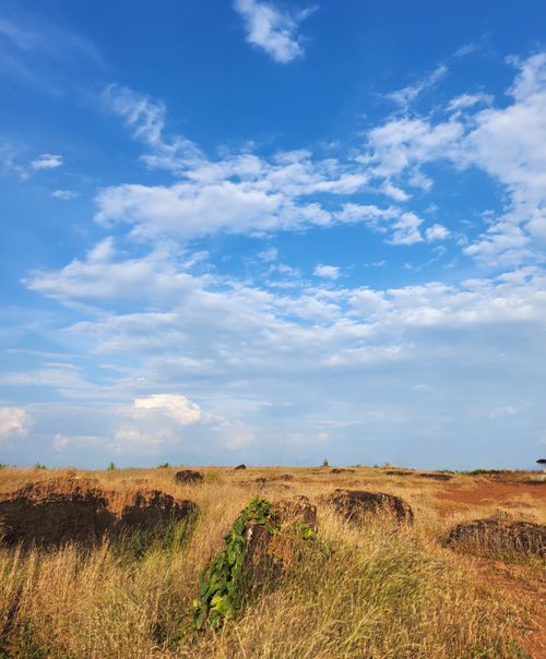 Free A beautiful countryside landscape featuring a grassy field under a bright blue sky with clouds. Stock Photo