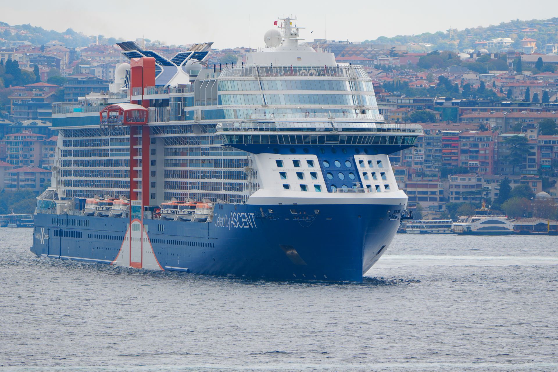 Cruise