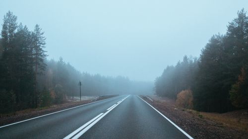Free A foggy road stretches into a misty forest, creating a serene and mysterious atmosphere. Stock Photo