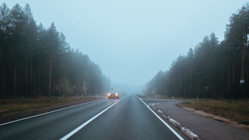 Free Misty road through forest with car headlights cutting through fog at sunrise. Stock Photo