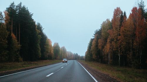 Free A serene autumn scene of a car driving on a highway flanked by colorful trees. Stock Photo