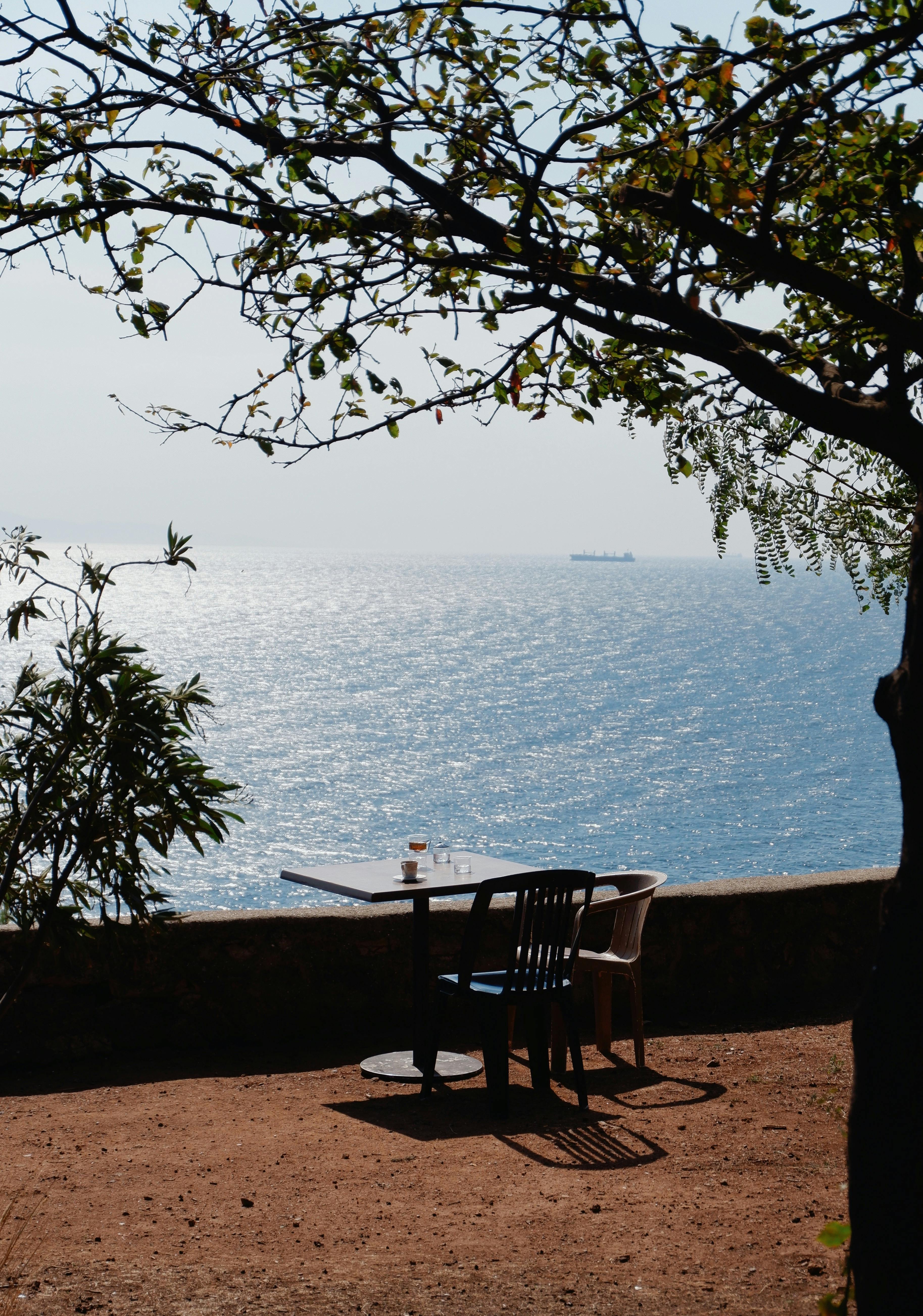Tranquil seaside view with an empty table under a tree overlooking the ocean.