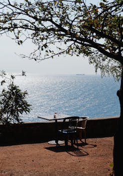 Tranquil seaside view with an empty table under a tree overlooking the ocean.