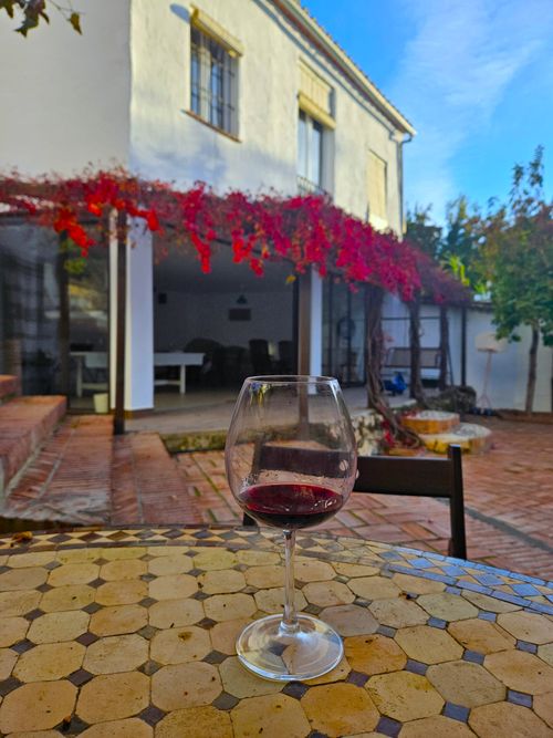 Free Wine Stock Photo