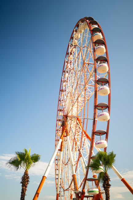 Ferris wheel with palm trees and blue sky, capturing a sunny day at an amusement park.