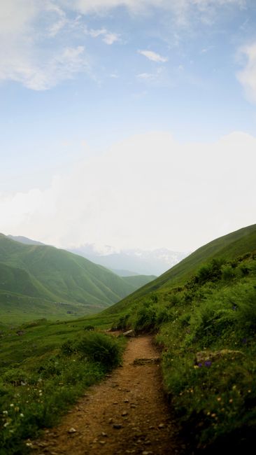 A serene mountain path surrounded by lush greenery under a bright sky, perfect for nature lovers.