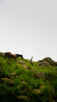 A person with a horse trekking up a grassy hillside, surrounded by nature.