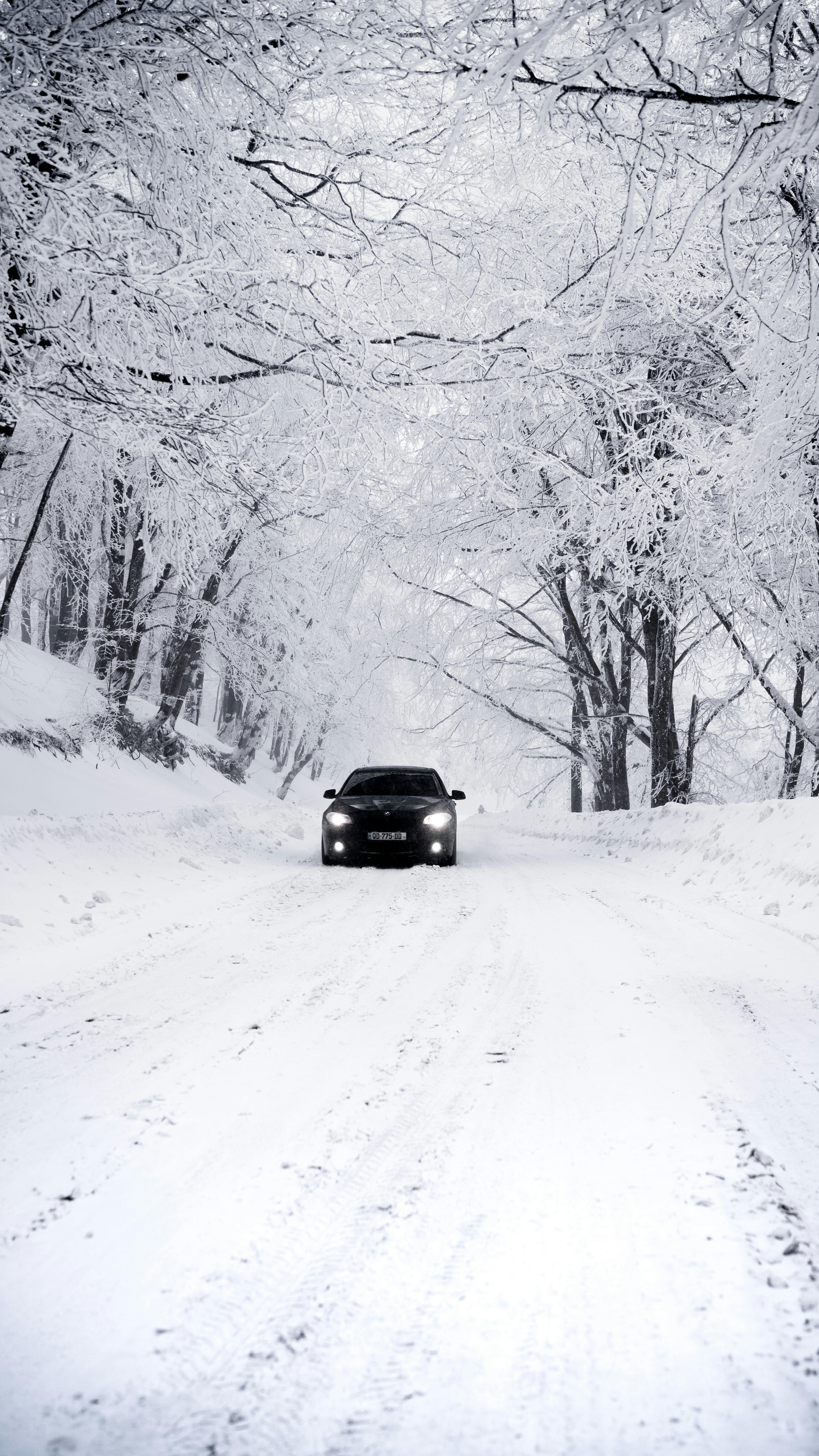 Car driving through a snow-covered forest road in winter. Tranquil snowy landscape.
