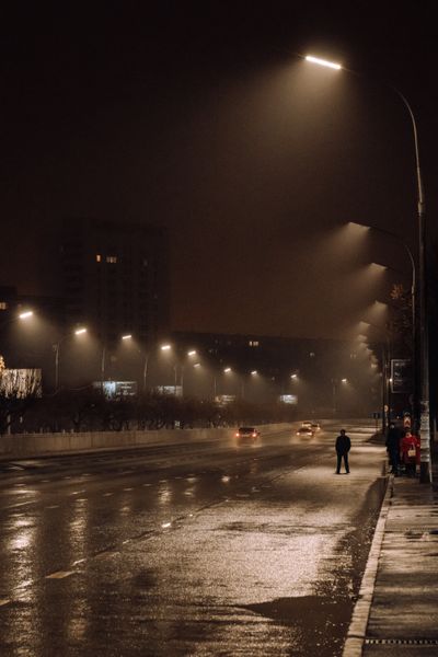 Cover art: lamplit boulevard after rain — photo by Andrey Kalyanov on Pexels