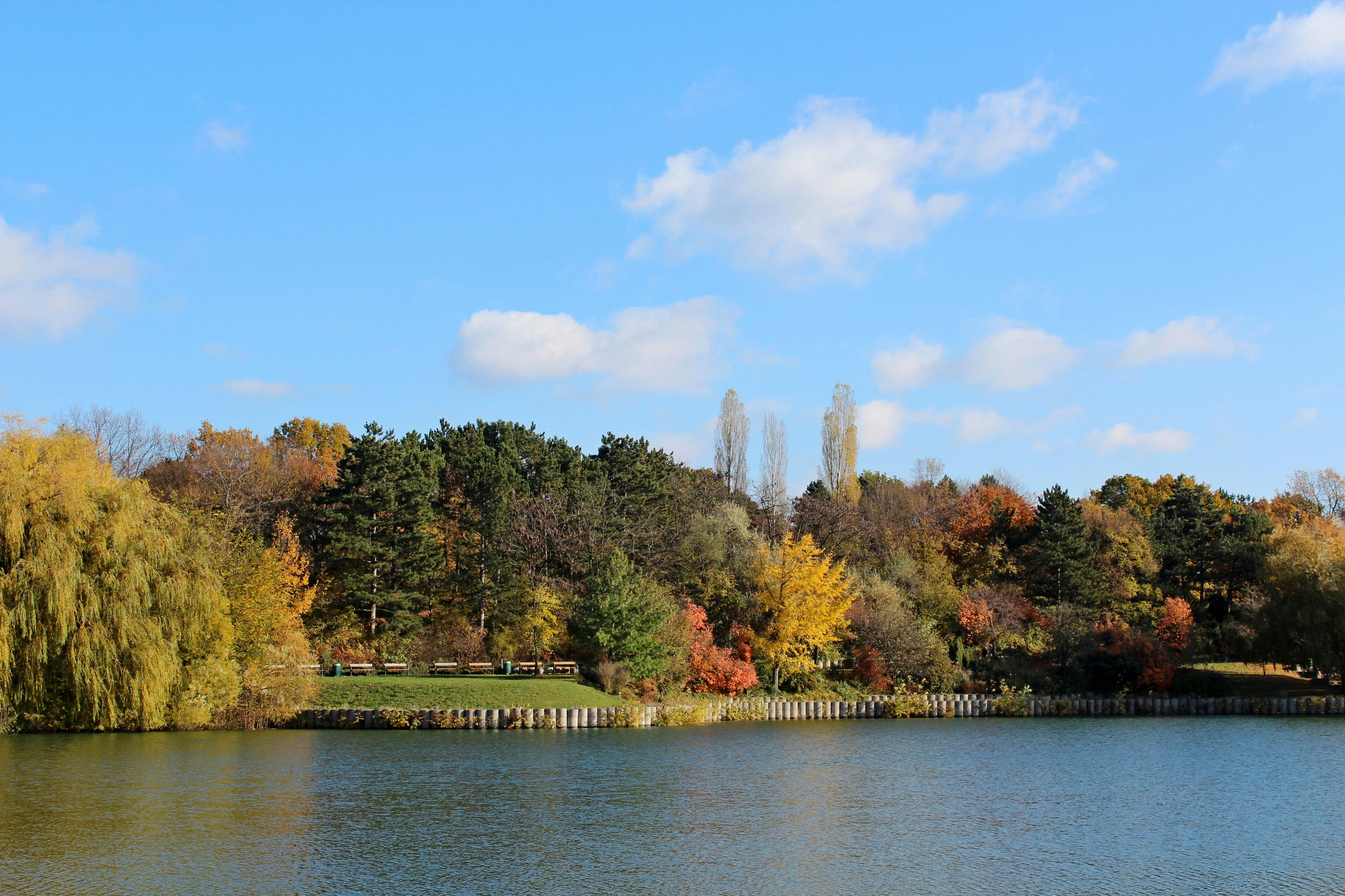 苓雅運動生活圈增設滯洪公園 打造綠意全民共享空間