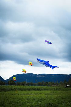 Bright kites shaped like sea creatures soaring in a picturesque outdoor setting.