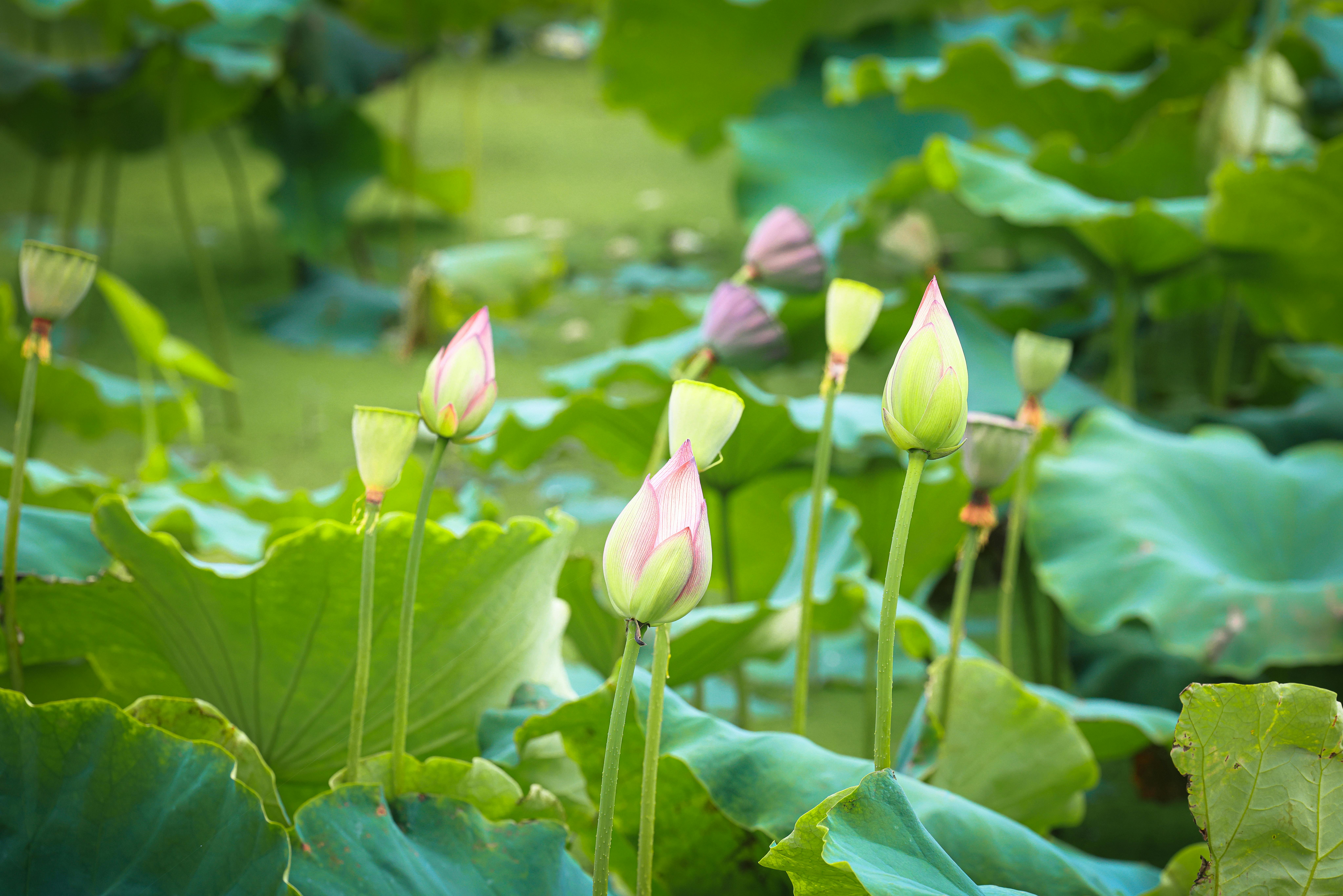 台北道場佛學講座「禪話．話禪」 探索禪的生活智慧
