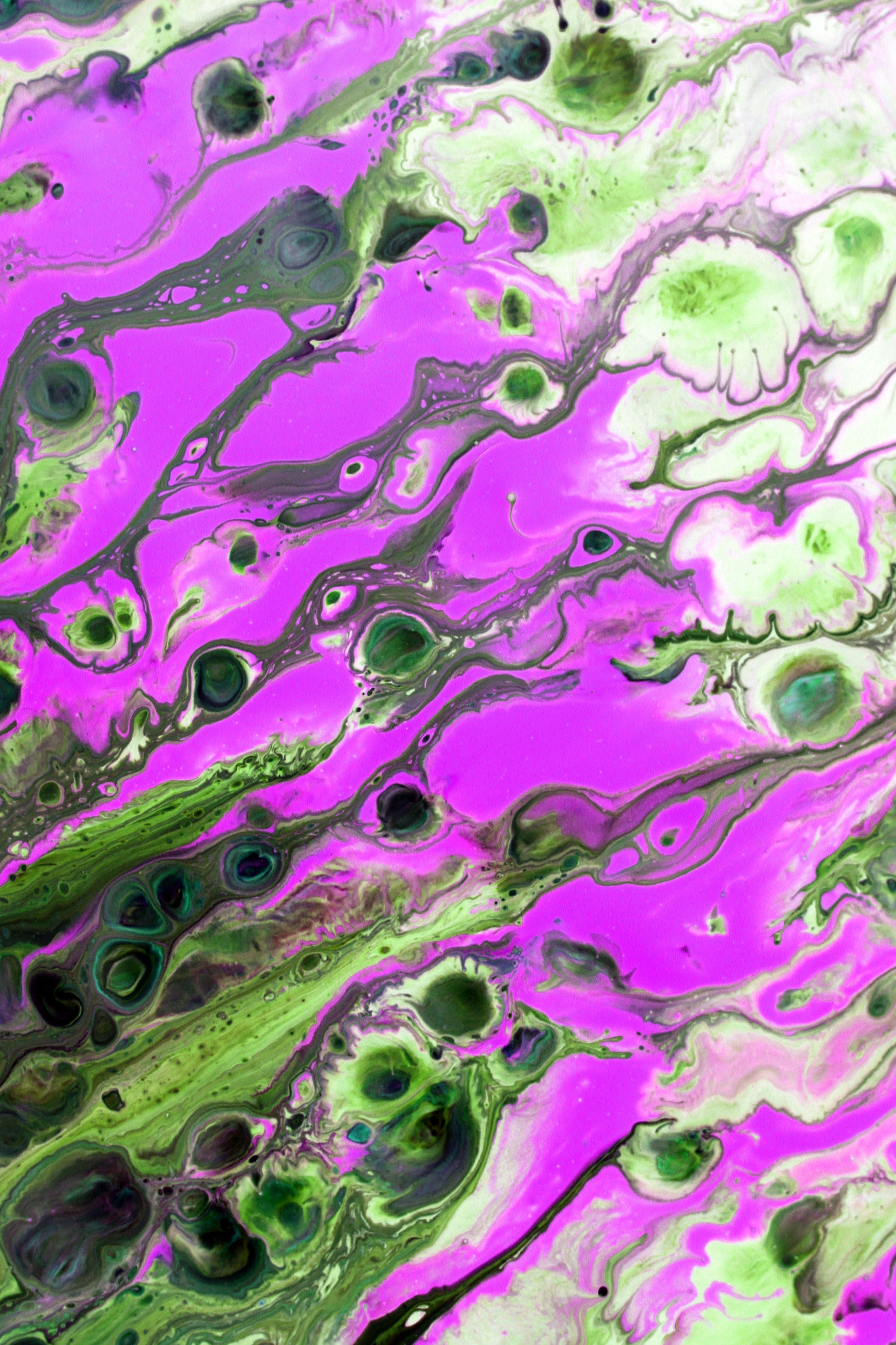 Abstract Acrylic Paint Flow in Vibrant Colors · Free Stock Photo