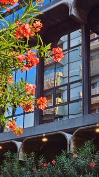 Modern building facade with blooming oleander reflections in Bari, Italy.