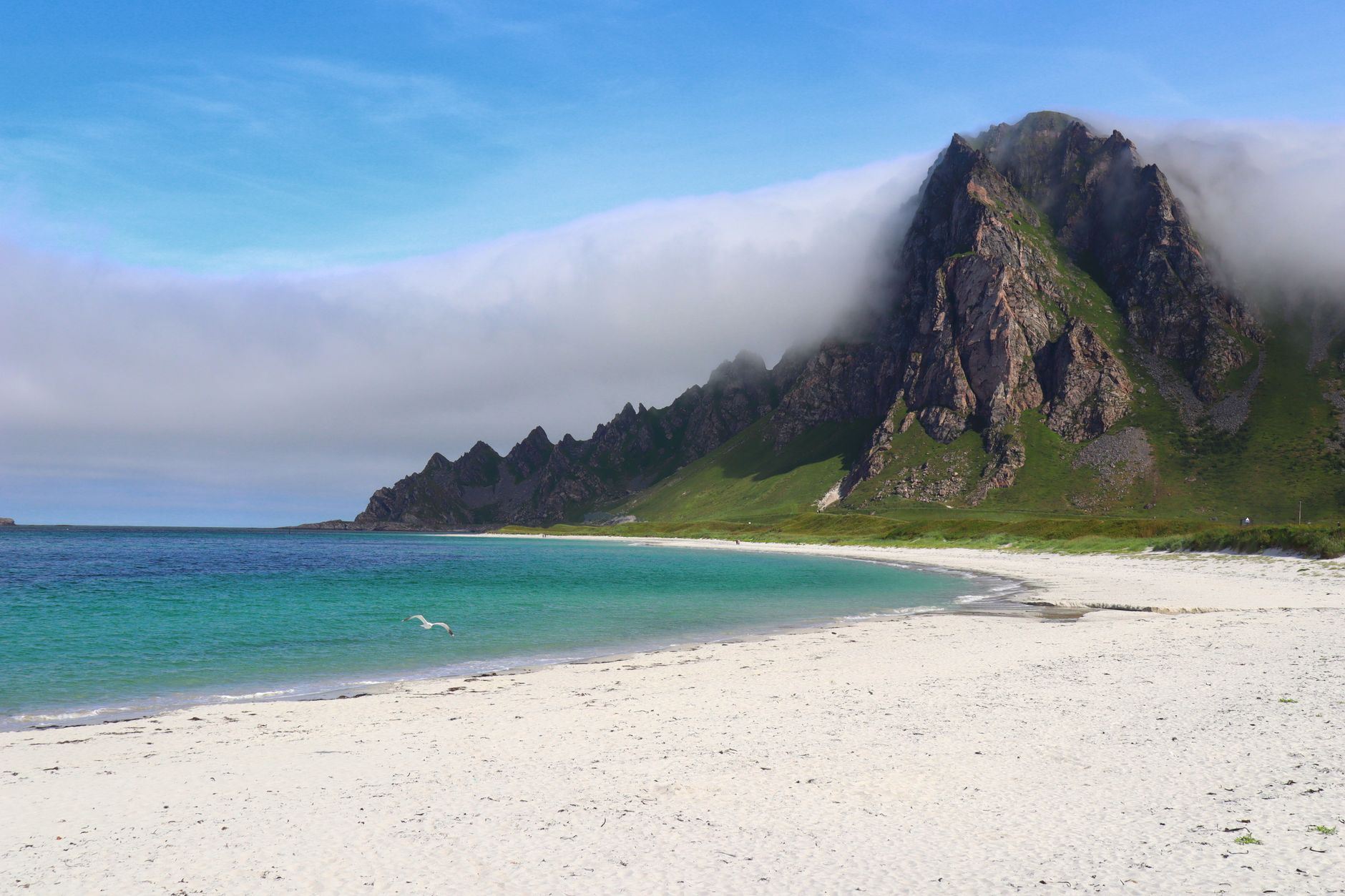 Explore the tranquil beach with towering mountains and crystal-clear waters of Norway's rugged coast.