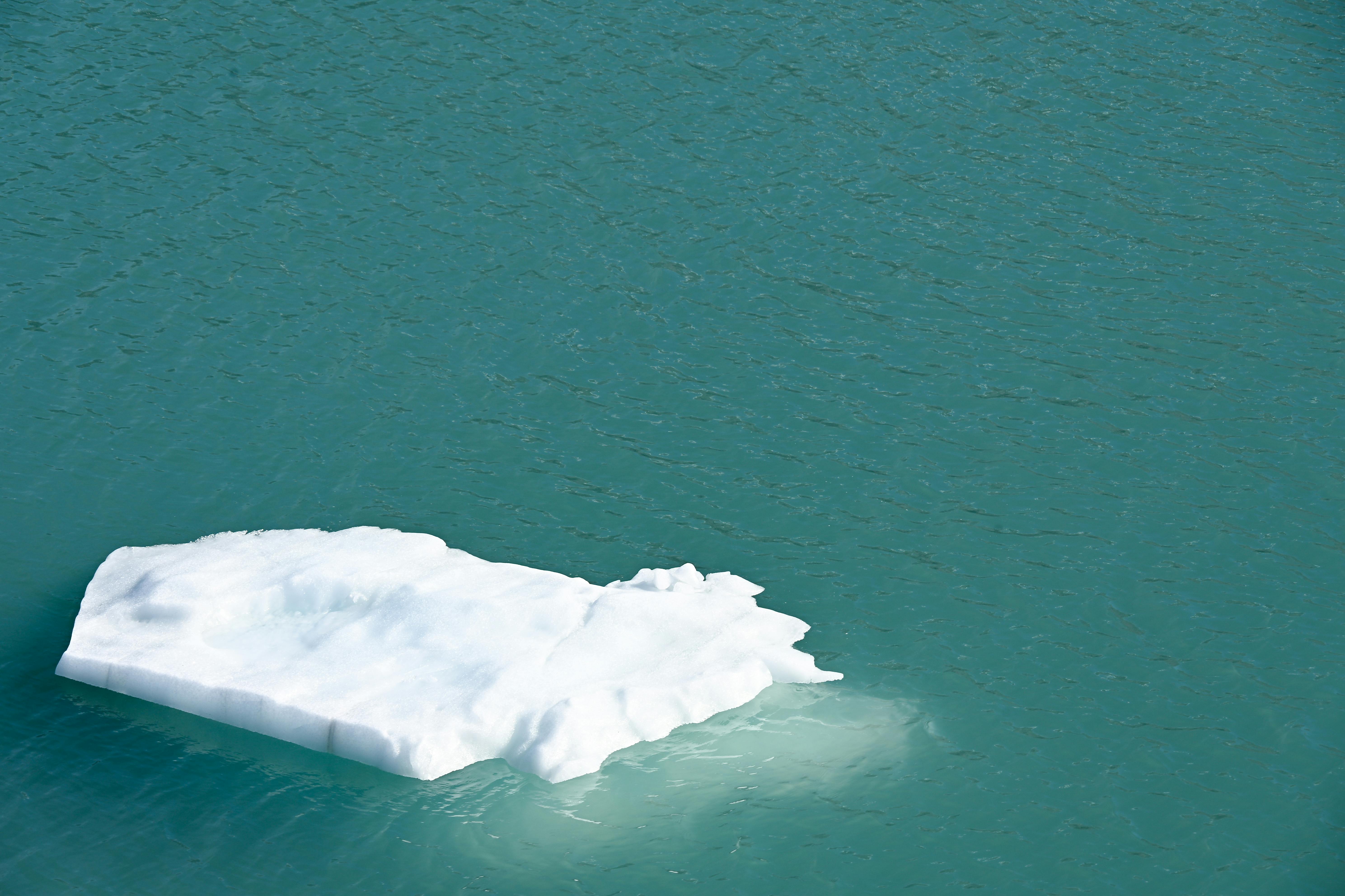 Alaska attorneys to provide free legal help on MLK Day holiday — Photo by Beth Fitzpatrick on Pexels