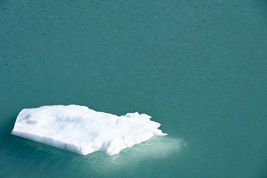 Glacier Bay kayak day — Alaska