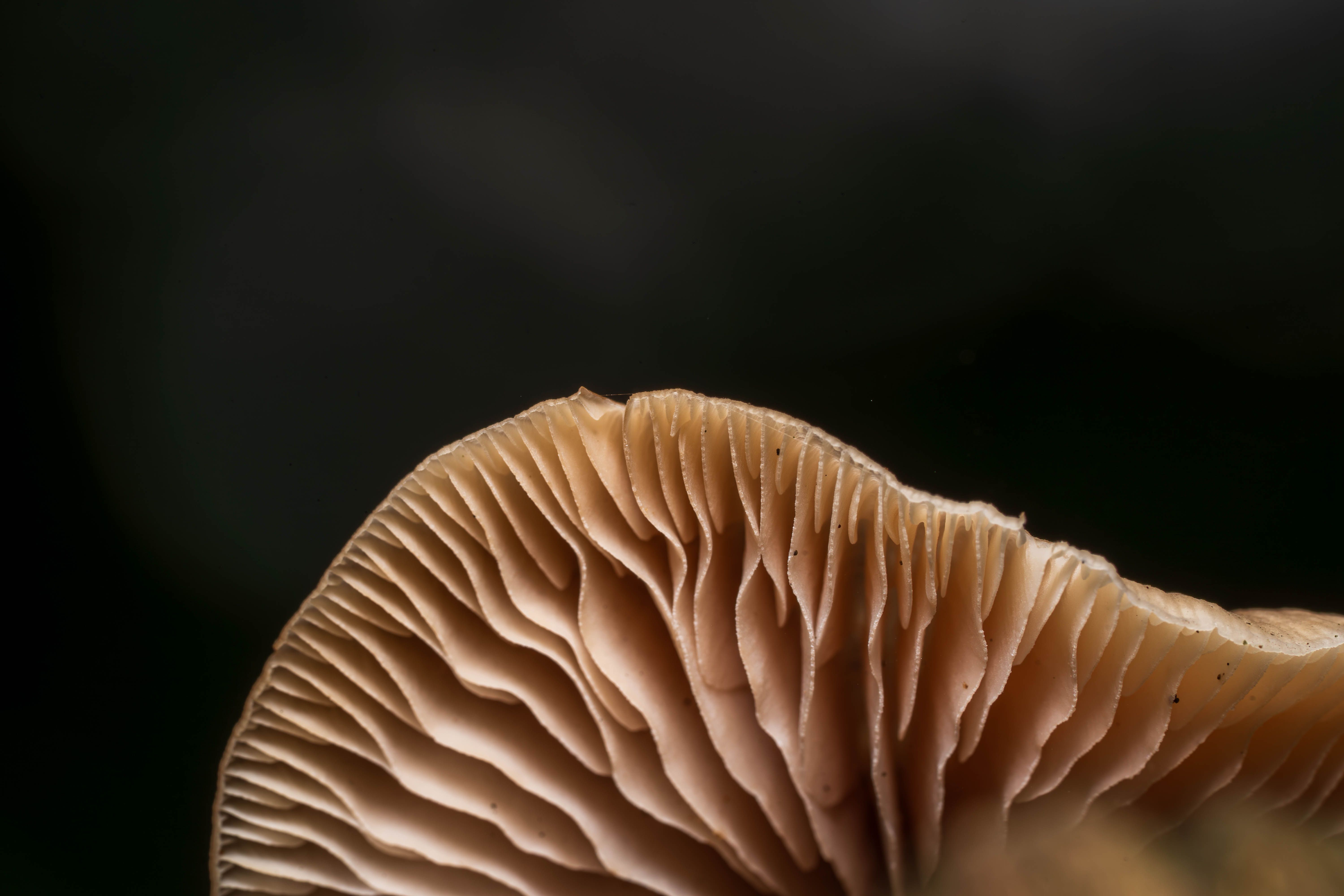 Infinite Zoom Photos, Download The BEST Free Infinite Zoom Stock Photos ...