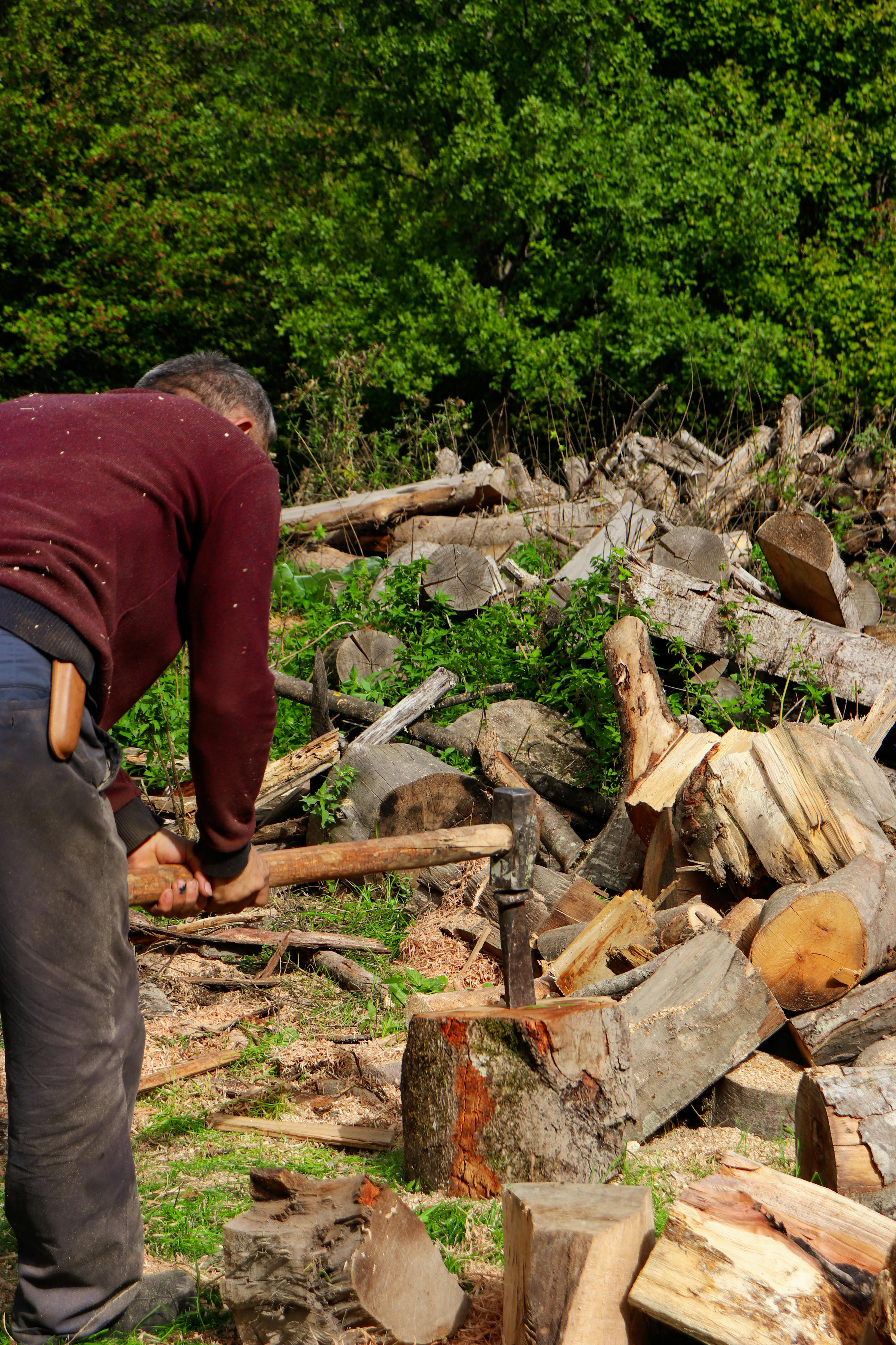 Hairy Muscle Man Photos, Download The BEST Free Hairy Muscle Man Stock