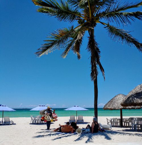 Free A Tropical Beach with a Seaview, Palms and Beach Umbrellas. The Gulf of Mexico. Stock Photo