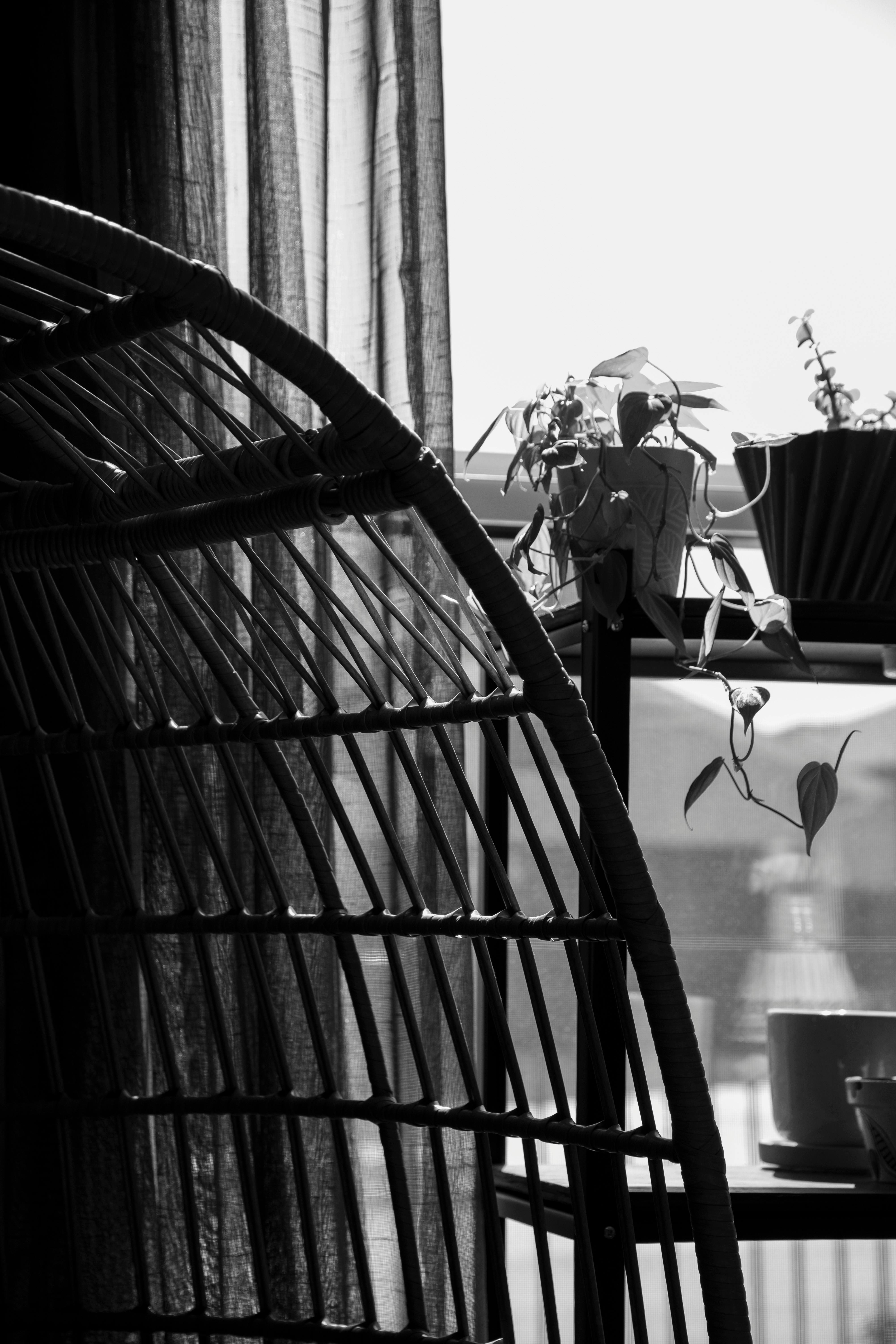 무료 가정 생활, 거실, 건축의 무료 스톡 사진