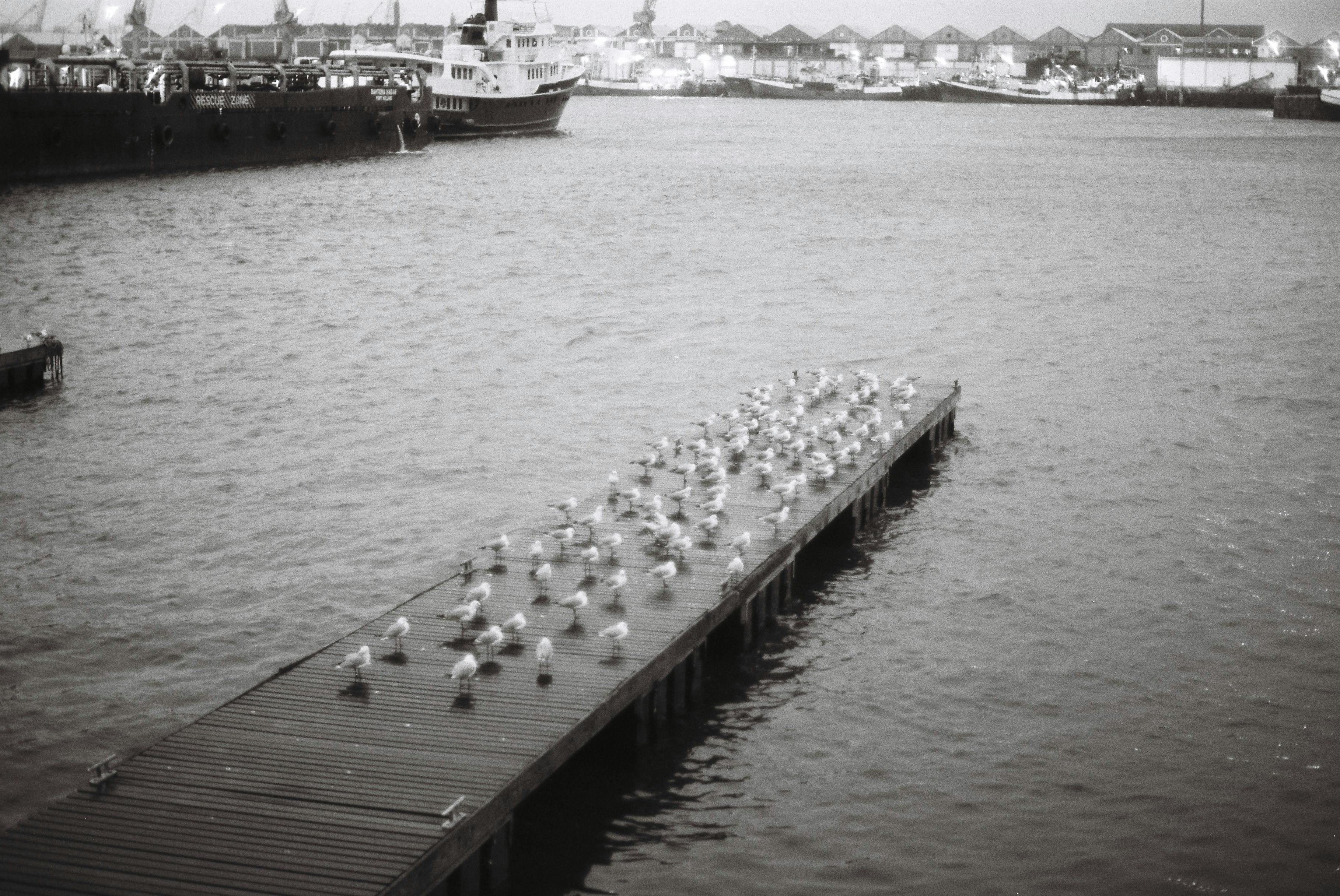 好的，我会按照您的要求进行优化