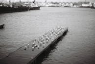 好的，我会按照您的要求进行优化