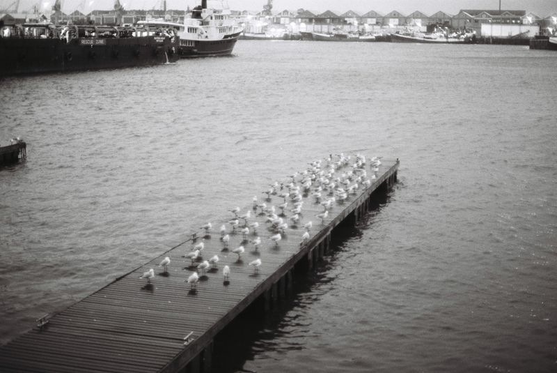 Construcción del Titanic